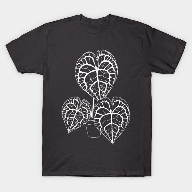 Anthurium clarinervium (white) T-Shirt by HousePlantHobbyist